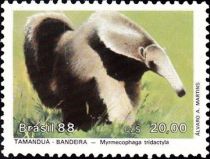 Giant Anteater (Myrmecophaga tridactyla)