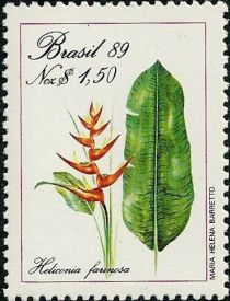 Brazilian Flora Preservation - Heliconia farinosa