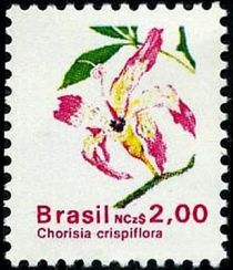 Chorisia crispiflora