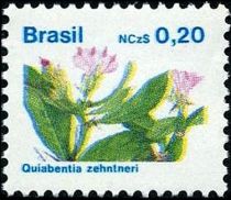 Quiabentia zehntneri