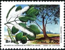 40 Years Botanical Society of Brazil