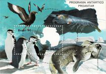 Brazilian Antarctic Program - Antarctic Wildlife