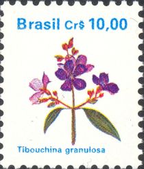 Tibouchina granulosa