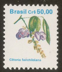 Clitoria fairchildiana