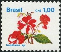 Impatiens sp.