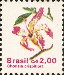 Chorisia crispiflora