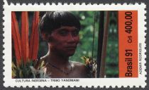 Yanomami Indian Culture