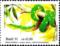 Emerald Tree Boa (Corallus caninus)