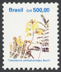 Caesalpinia peltophoroides