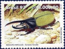 Hercules Beetle (Dynastes hercules)