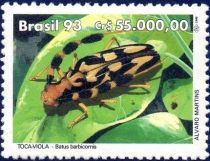 Longhorn Beetle (Batus barbicornis)