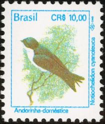 Blue-and-white Swallow (Notiochelidon cyanoleuca)