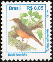 Rufous-bellied Thrush (Turdus rufiventris)