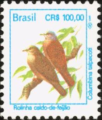 Ruddy Ground-Dove (Columbina talpacoti)