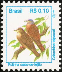 Ruddy Ground-Dove (Columbina talpacoti)