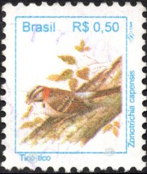 Rufous-collared Sparrow (Zonotrichia capensis)