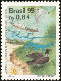 Great Egret (Ardea alba), Horned Screamer (Anhima cornuta)