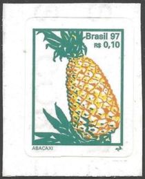 Abacaxi or Pineapple