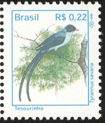 Fork-tailed Flycatcher (Tyrannus savana)