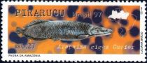 Pirarucu (Arapaima gigas)