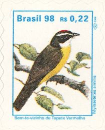 Social Flycatcher (Myiozetetes similis)