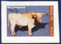 Junqueir Cattle (Bos primigenius taurus)