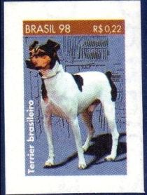 Terrier Brasileiro (Canis lupus familiaris)