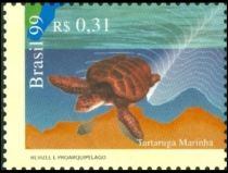 Hawksbill Turtle (Eretmochelys imbricata)