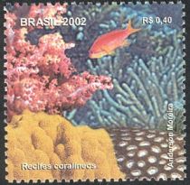 Tropical Fish and Corals