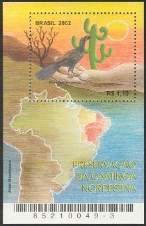 Preservation of the Northeastern Caatinga Region