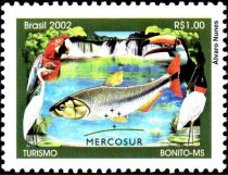 Scarlet Macaw, Toco Toucan, Great Egret, Jabiru, Piraputanga