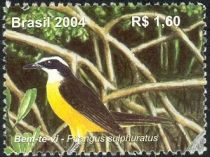 Great Kiskadee (Pitangus sulphuratus)