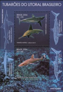 Shortfin Mako Shark, Scalloped Hammerhead, Narrownose Smoot-