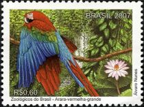 Red-and-green Macaw (Ara chloropterus)