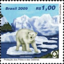 Polar Bear (Ursus maritimus)