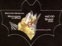 Common Sword-nosed Bat (Lonchorhina aurita)