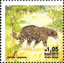 Leopard (Panthera pardus)