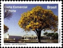 Brasilia