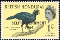 Great Curassow (Crax rubra) - Overprinted