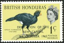 Great Curassow (Crax rubra) - Overprinted