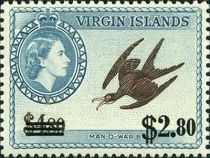 Man-o-War Bird (Fregata magnificens) - Surcharged