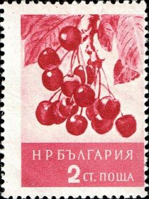 Cherries (Prunus avium)