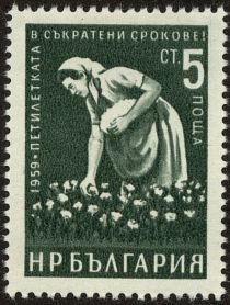 Female cottonpicker