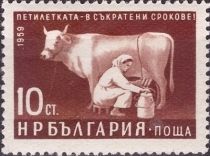 Woman milking Cow