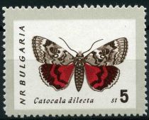 Crimson underwing (Catocala dilecta)