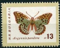 Cardinal (Argynnis pandora)