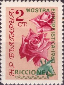 Roses overprinted