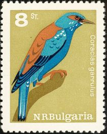 European Roller (Coracias garrulus)