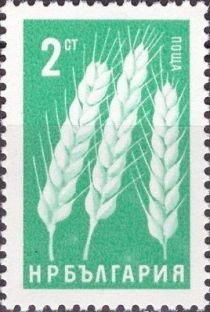 Wheat-ears