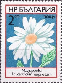 Marguerite